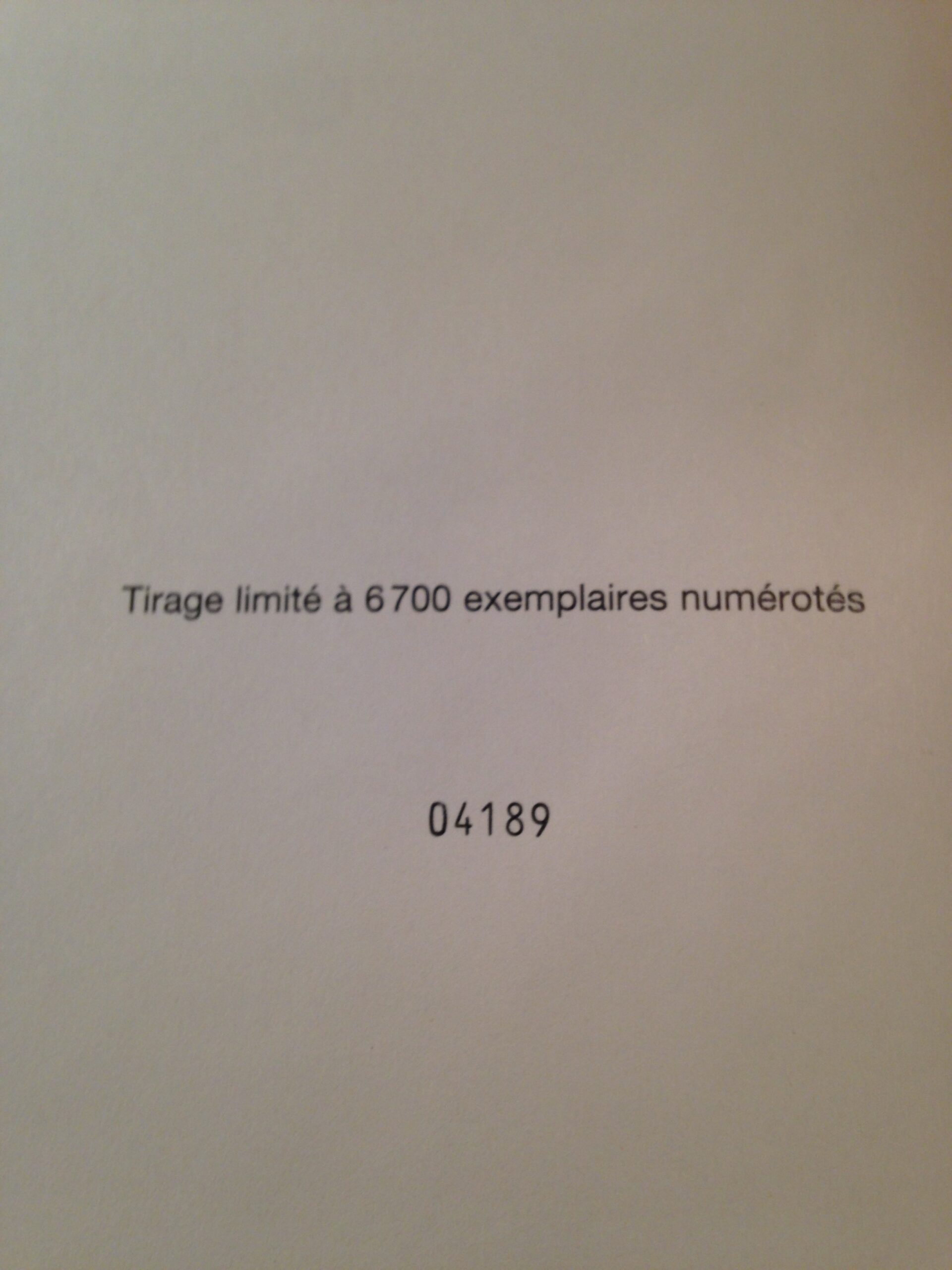 T9 LE ROI GORILLE – Image 9